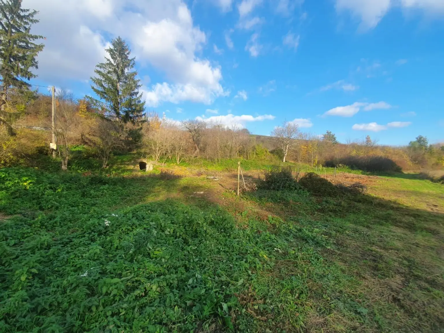Baugrund in Kleinsitzendorf sucht Visionär - Traumgegend, Traumplatz, Traum wird wahr!