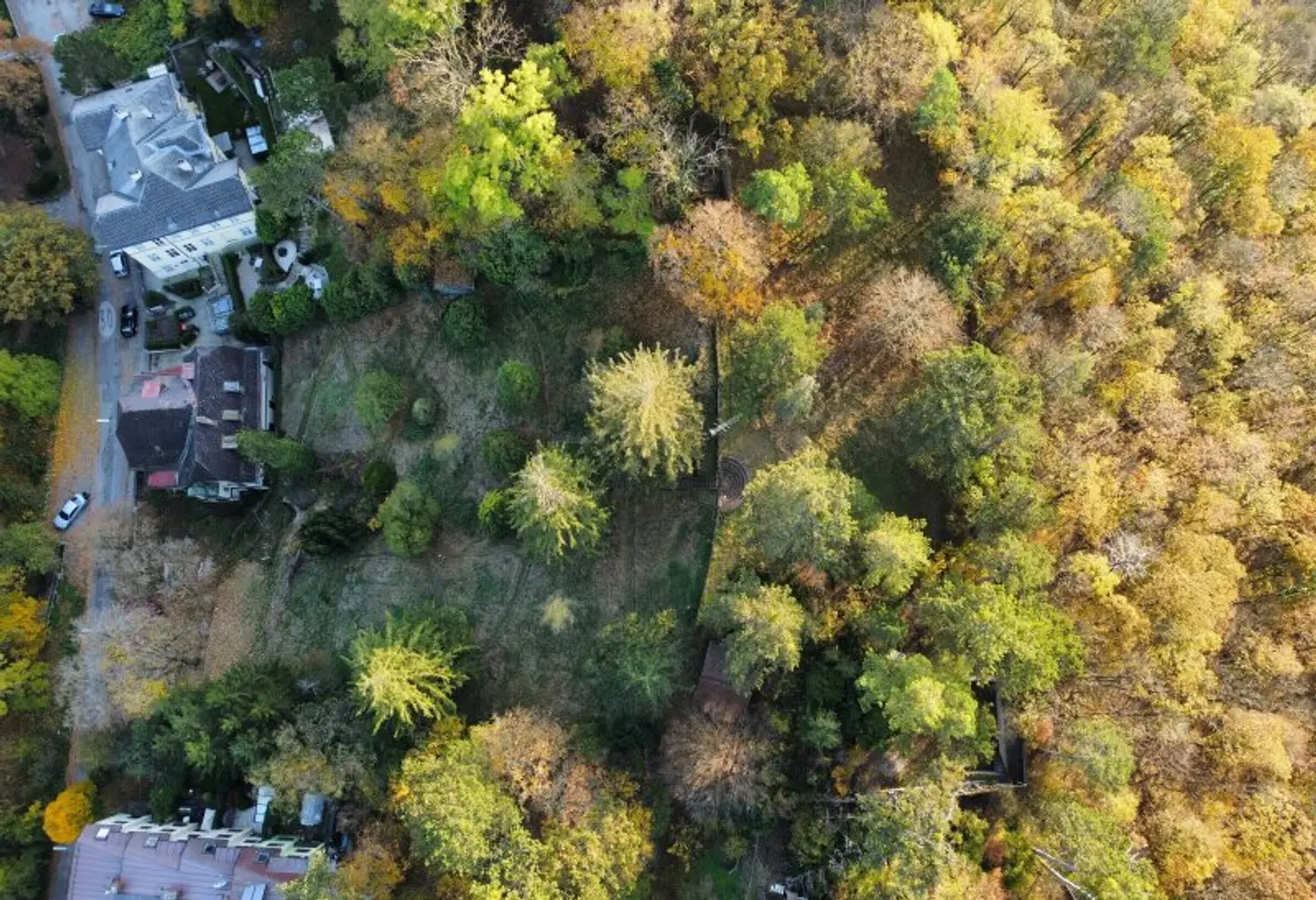 baugenehmigtes Wohnbauprojekt für 5 Familienhäuser in außergewöhnlicher Villen-Waldrandlage! Rundum - Natur pur!