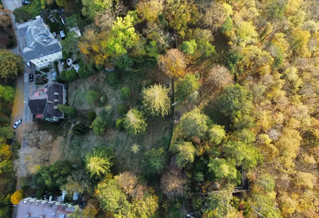 baugenehmigtes Wohnbauprojekt für 5 Familienhäuser in außergewöhnlicher Villen-Waldrandlage! Rundum - Natur pur!