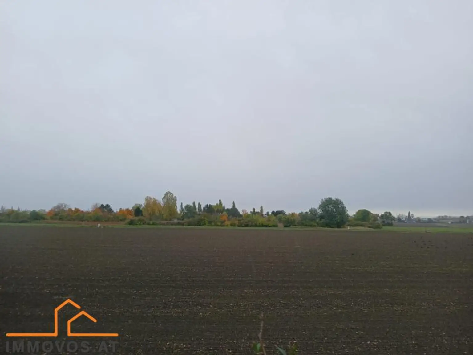 TOR  ZUM GLÜCK - RIESEN GRUNDSTÜCK MIT GEBÄUDE UND VIELEN MÖGLICHKEITEN