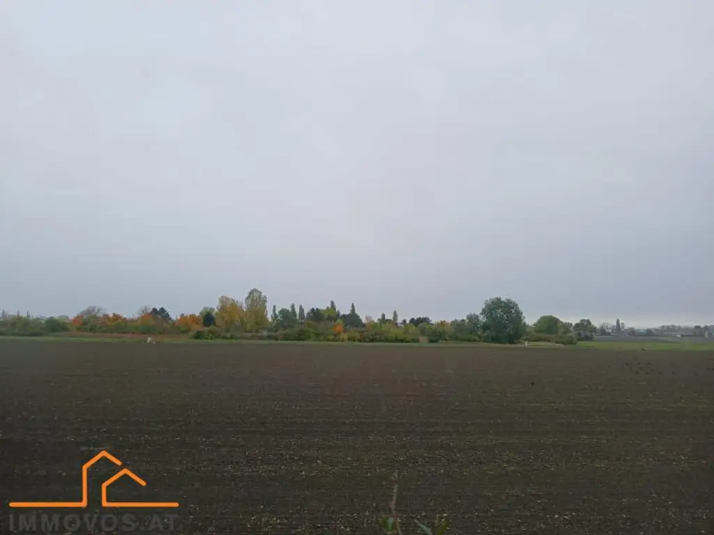 TOR  ZUM GLÜCK - RIESEN GRUNDSTÜCK MIT GEBÄUDE UND VIELEN MÖGLICHKEITEN