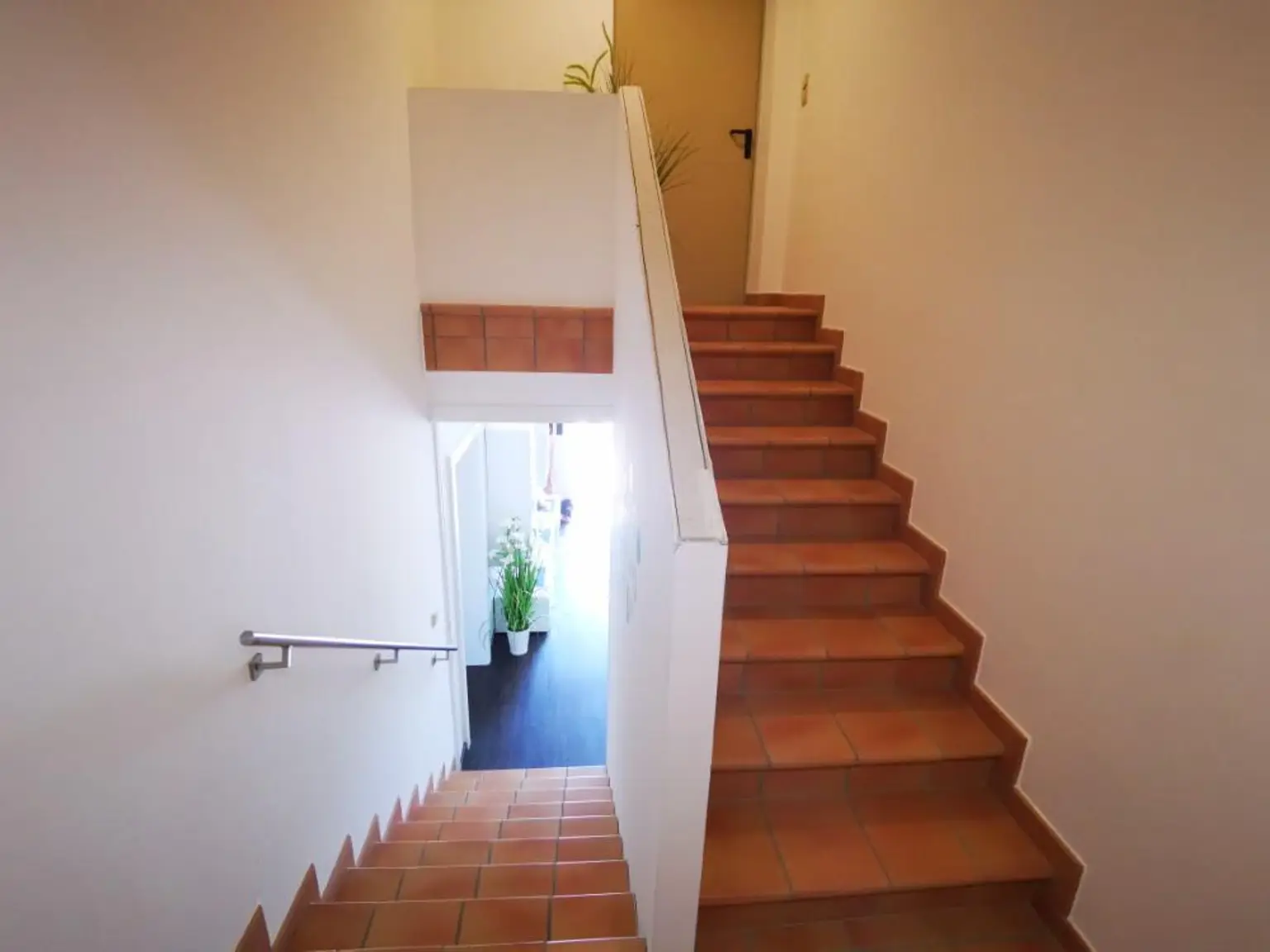 Urlaub zu Hause