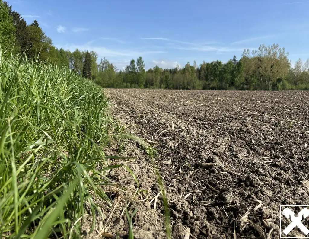 Landwirtschaftliche Fläche mit Waldanteil und guter Erreichbarkeit