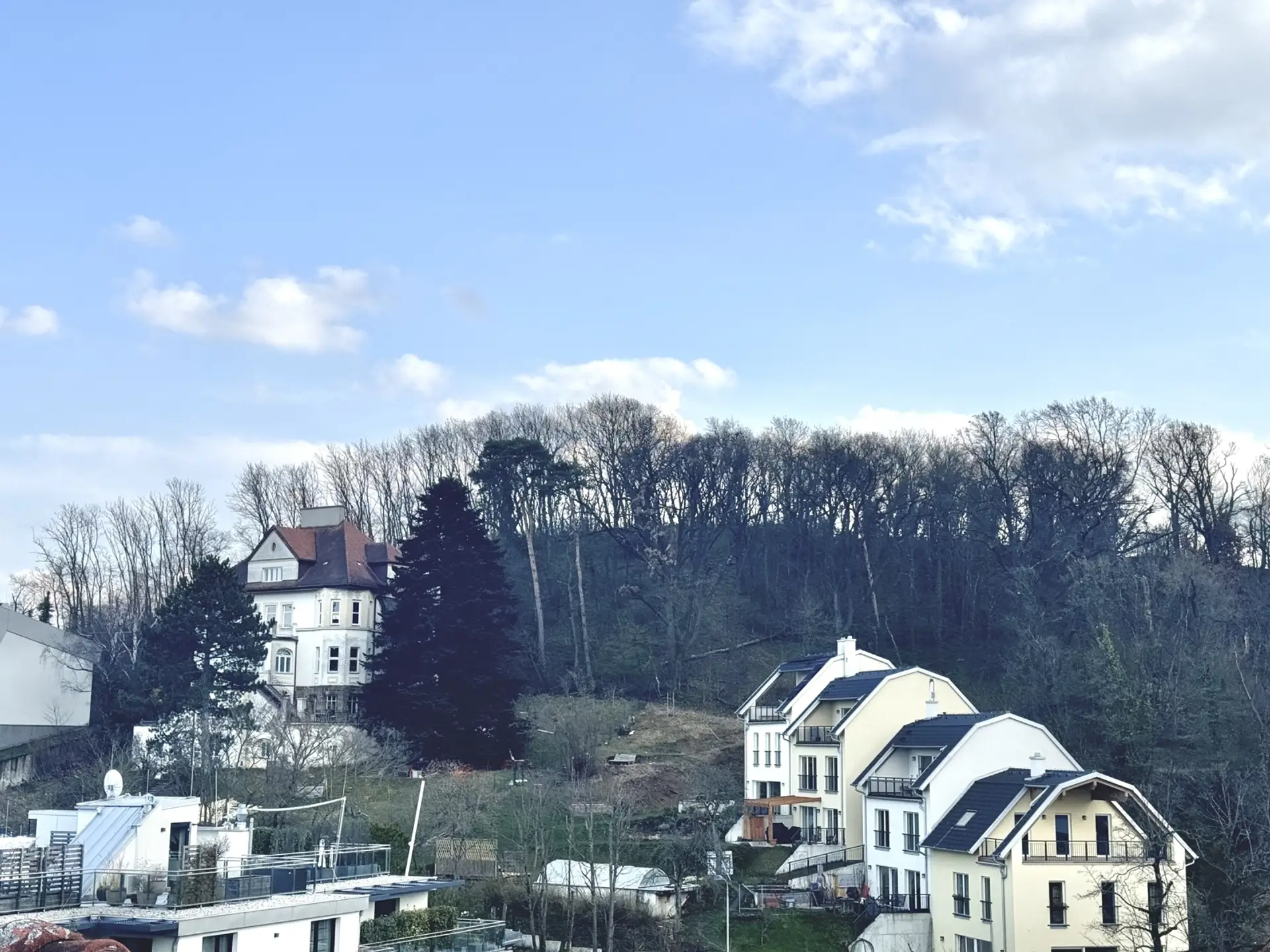 20250325_144739732_iOS