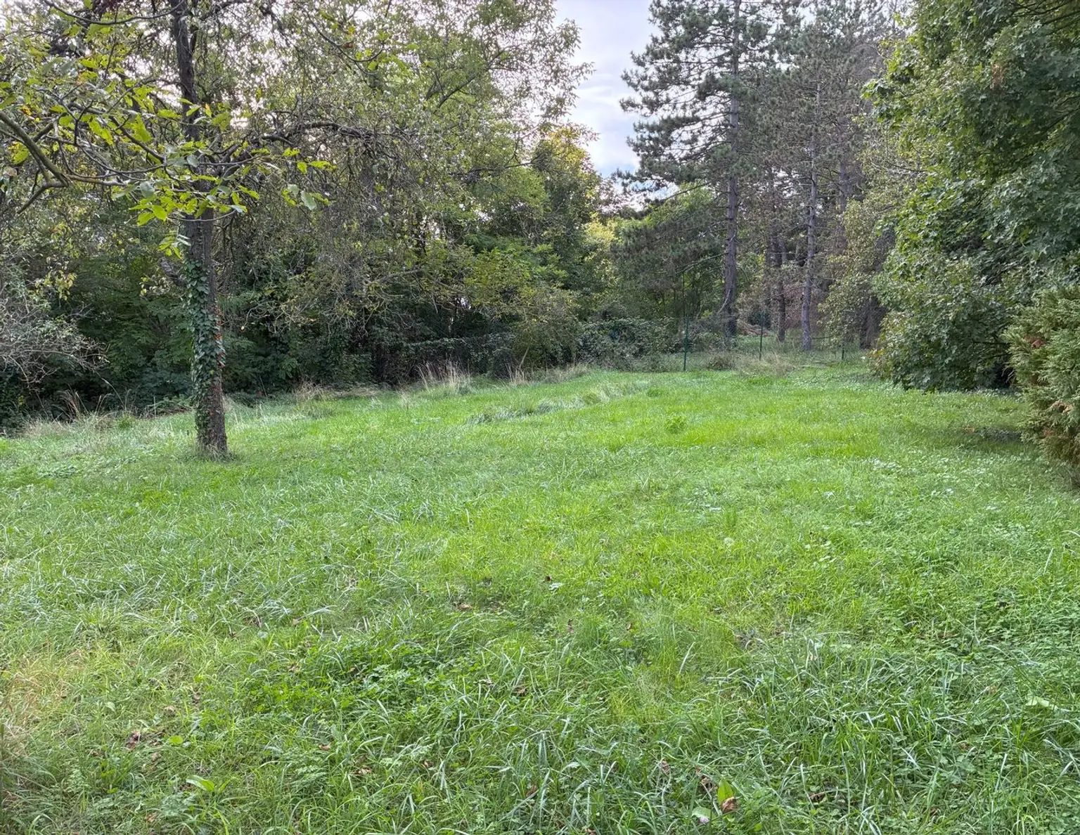 Exklusives Baugrundstück in begehrter Lage in Hinterbrühl - zu kaufen in 2371 Hinterbrühl