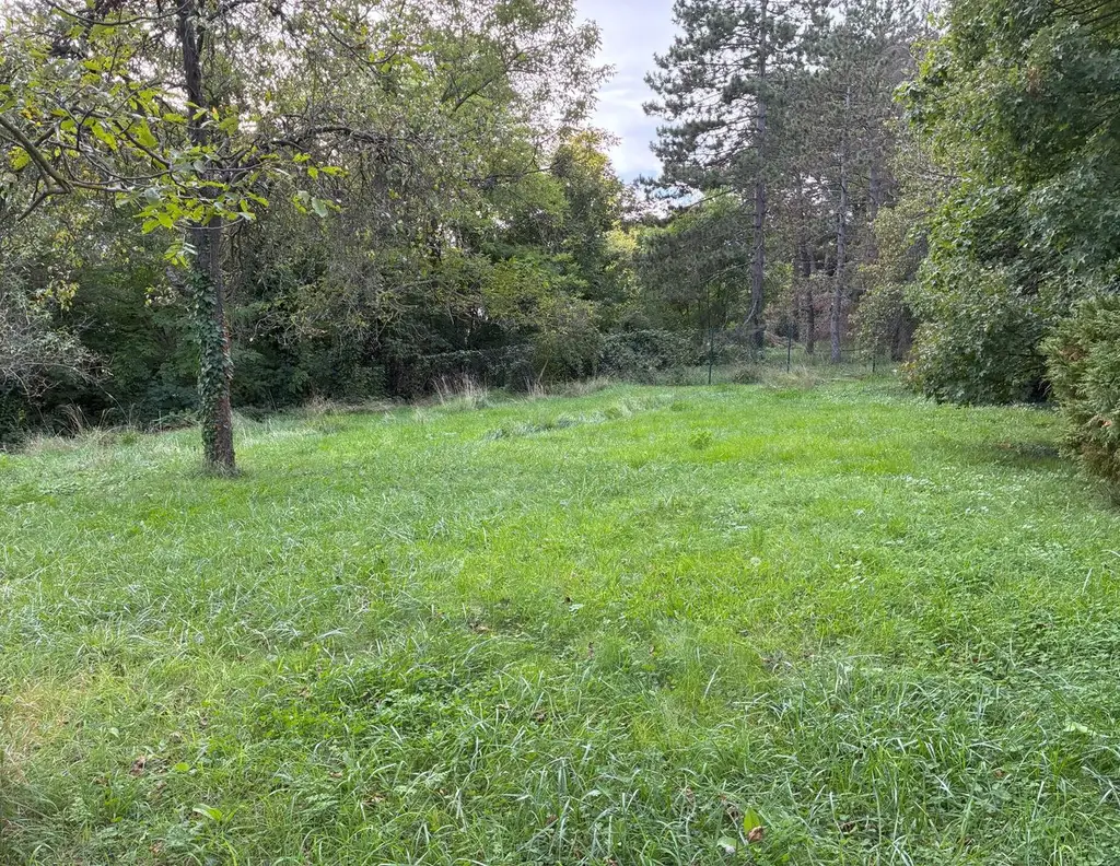 Exklusives Baugrundstück in begehrter Lage in Hinterbrühl - zu kaufen in 2371 Hinterbrühl