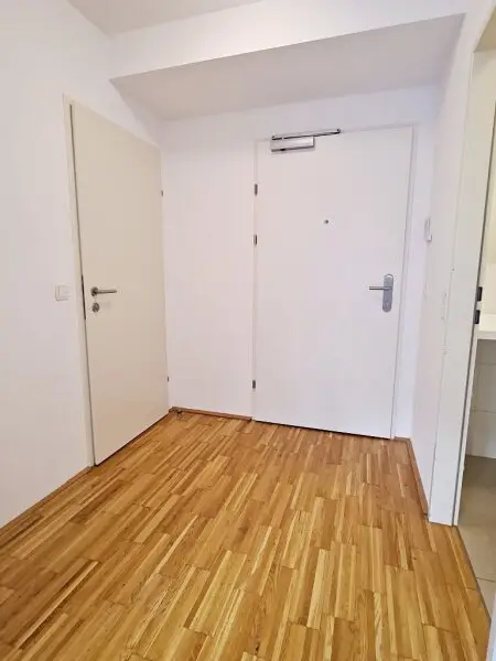 AM SPITZ-NÄHE, gepflegte 36 m2 Neubau mit 4 m2 Balkon, 2 Zimmer, Komplettküche, Wannenbad, Parketten, Garagenplatz möglich, Leopold-Ferstl-Gasse