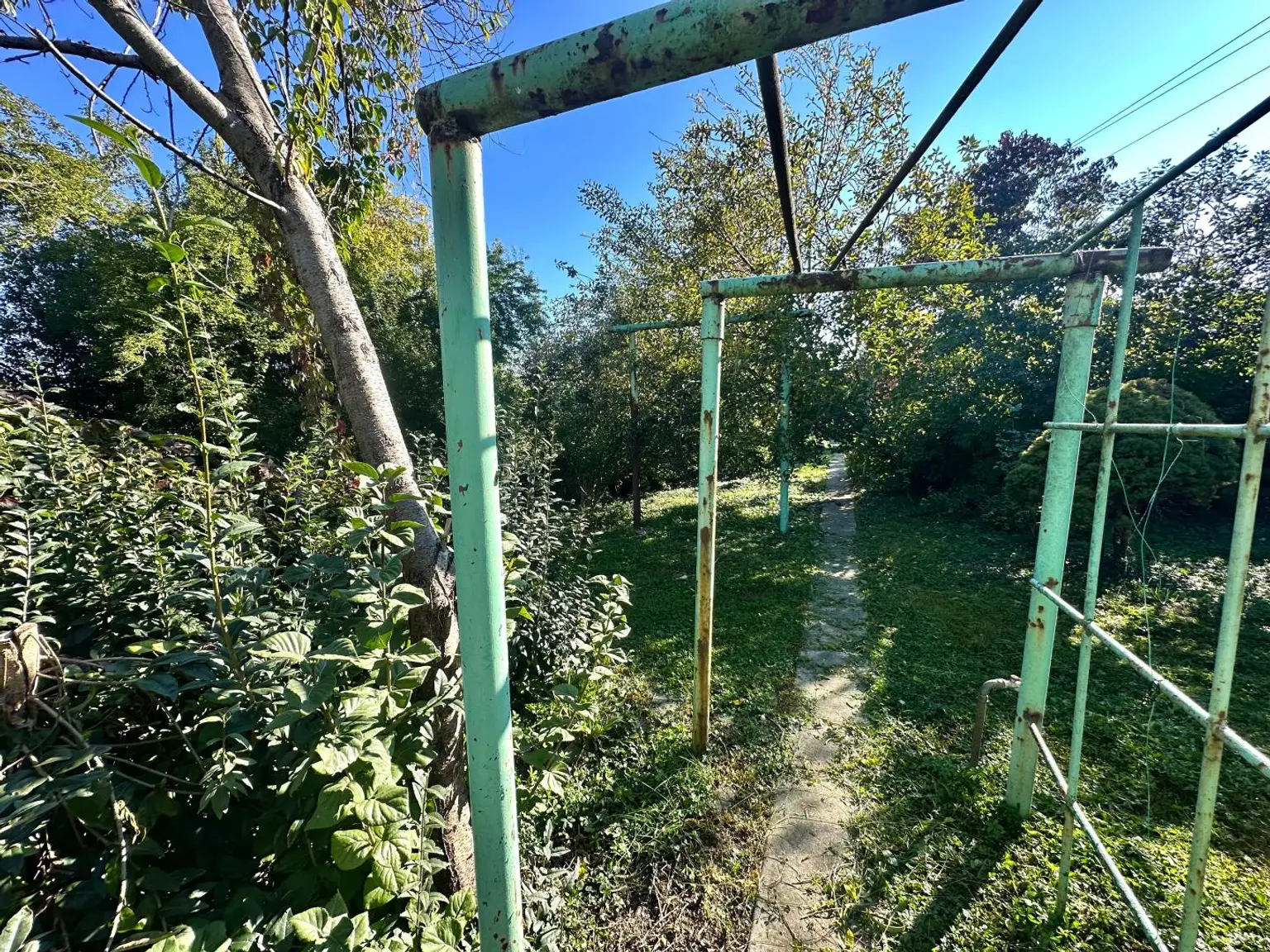 Gemütliches Landhaus im Weinviertel auf ca. 995m² Grundstück – ideal für Naturliebhaber!