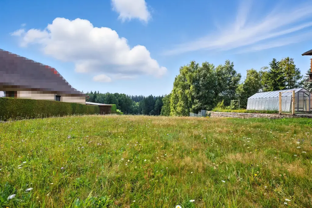 GRÜNOASE & AUSSICHTSLAGE: BAUGRUND IN KLEEDORF BEI NIEDERSCHREMS