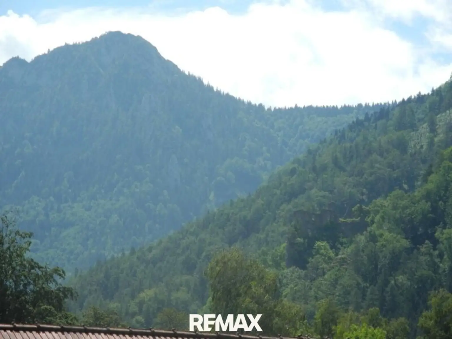 Blick in die Berge und auf die Ruine Scharnstein