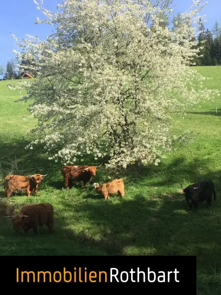 Neuwertiger Bauernhof in sonniger Lage