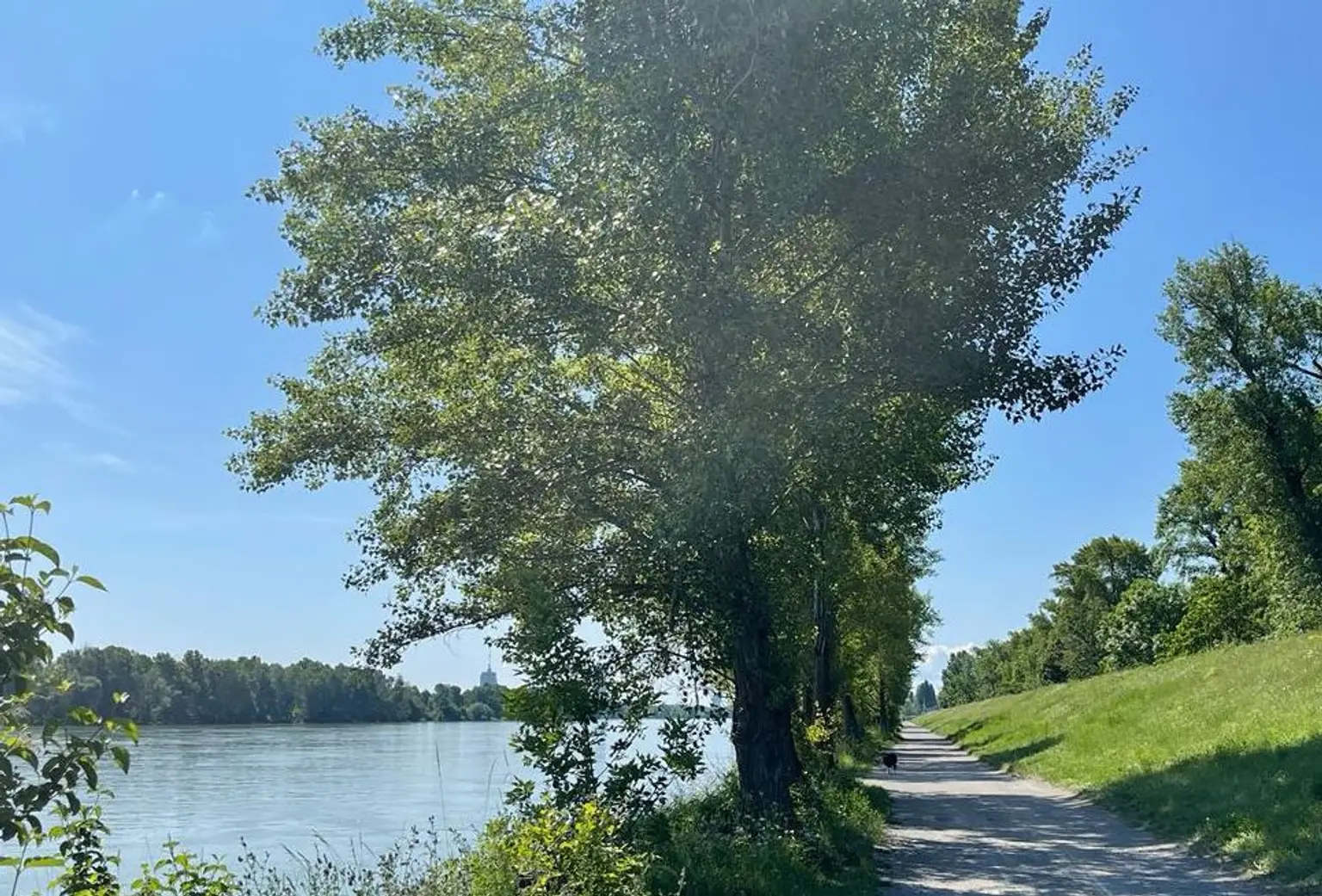 Donau