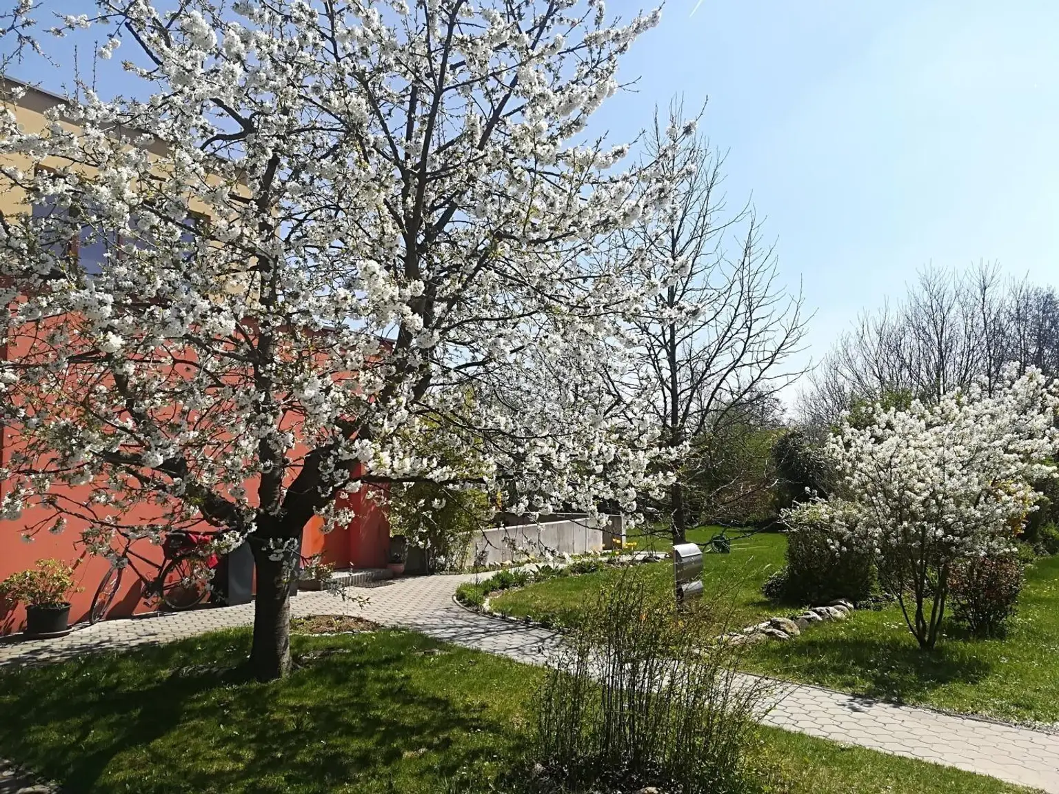 Garten