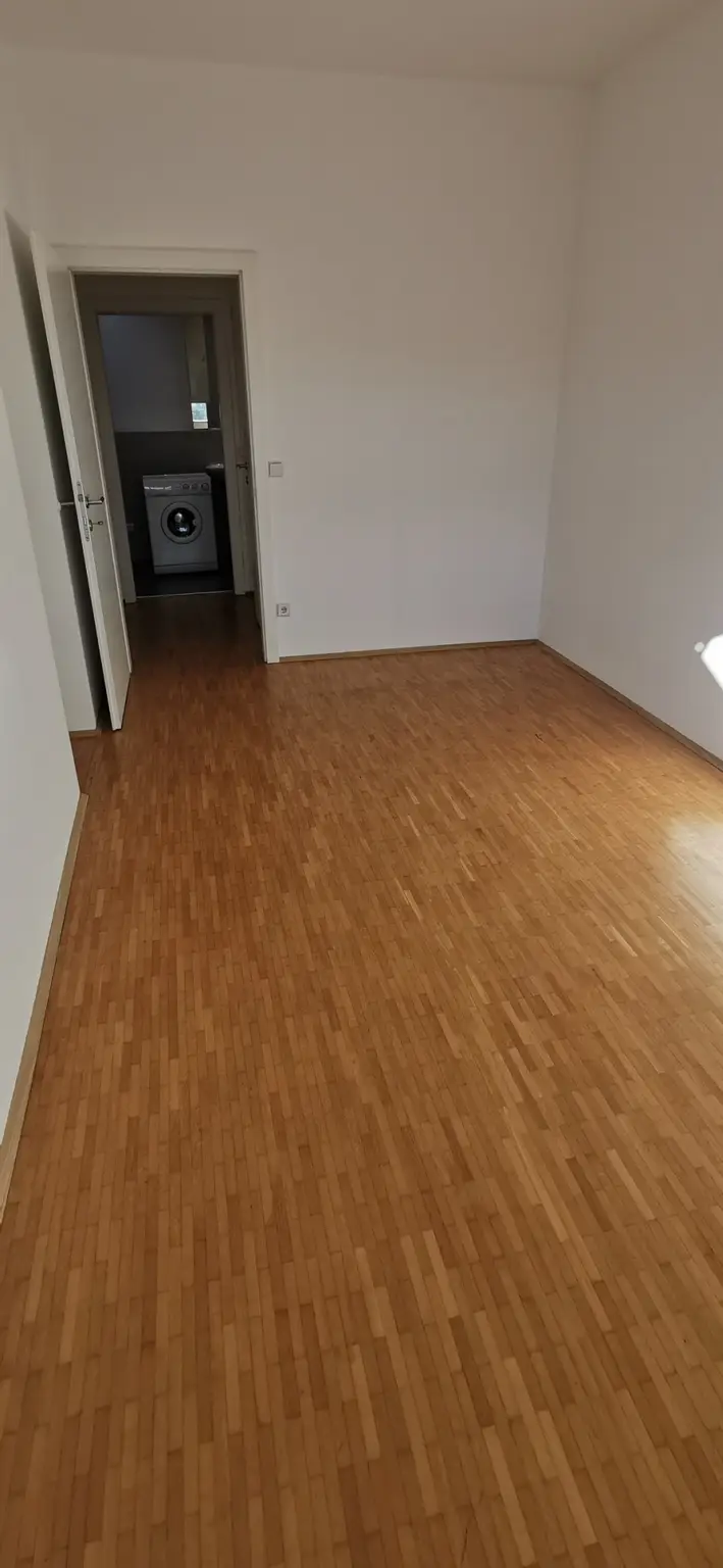 Zimmer V