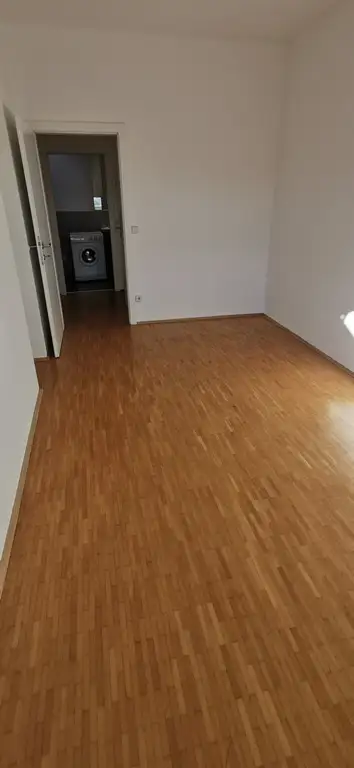 Zimmer V