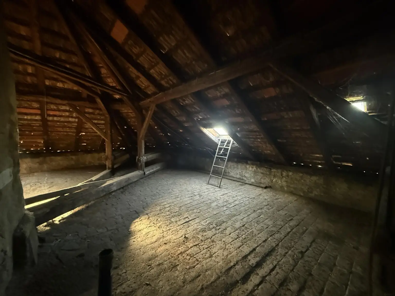 20251105_083305894_iOS