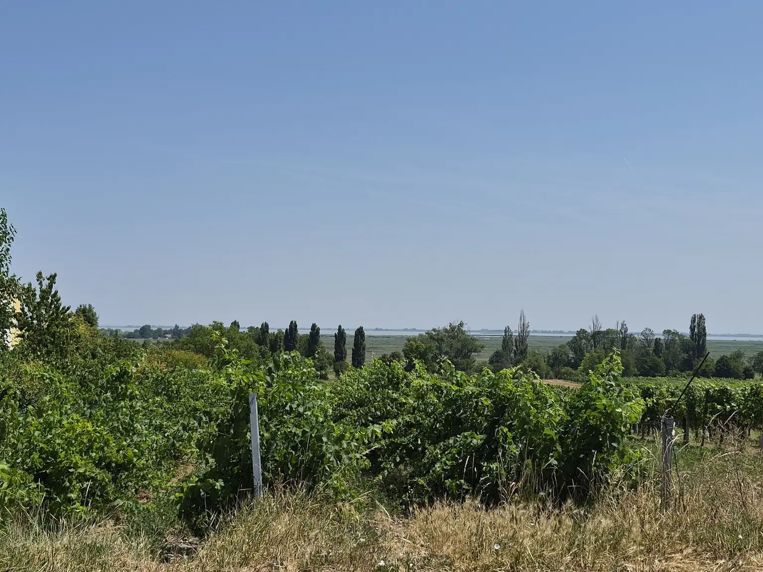 Attraktives Investment - Sonnige ca. 40,30 m² Gartenwohnung in attraktiver Lage nahe dem Neusiedler See
