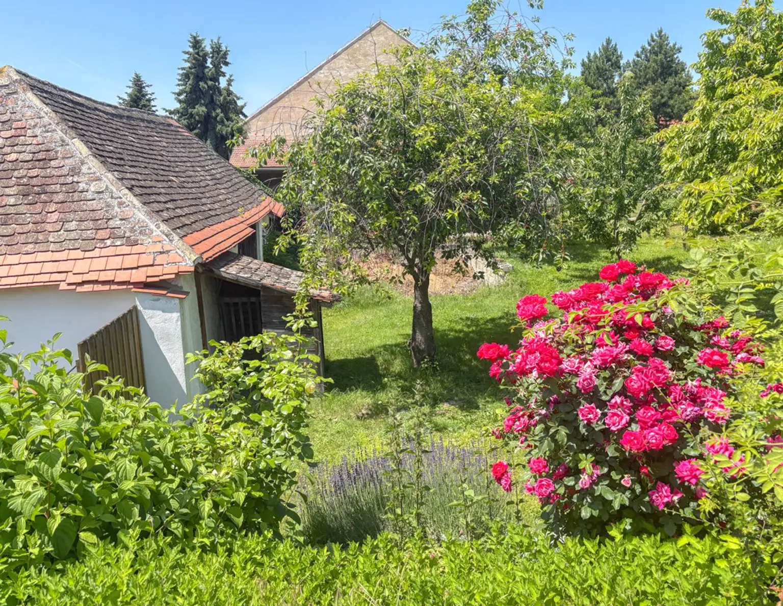 Idyllischer Dreiseithof im Weinviertel - Viel Platz zum Wohlfühlen und Entspannen