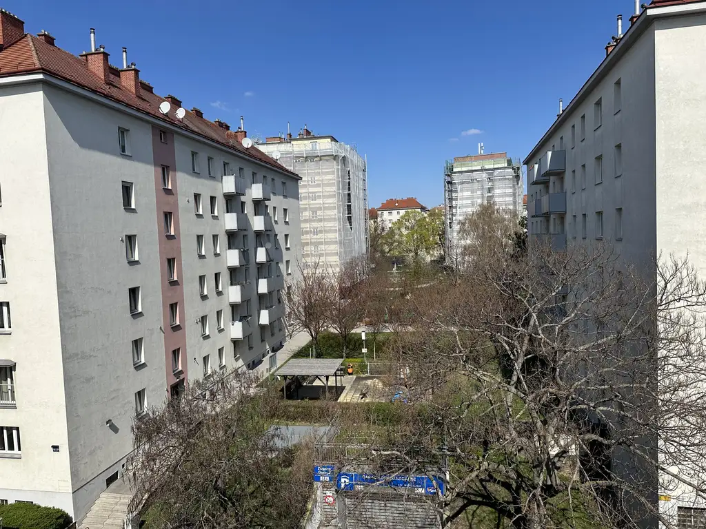 WG geeignete Wohnung mit moderner Küche: Anlage oder Eigennutzung?