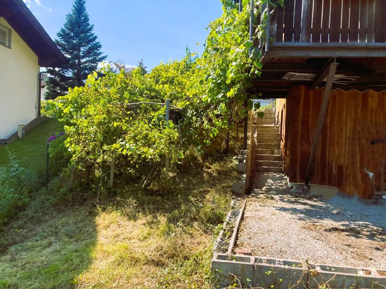 08.04.2026 Gartenfoto 1