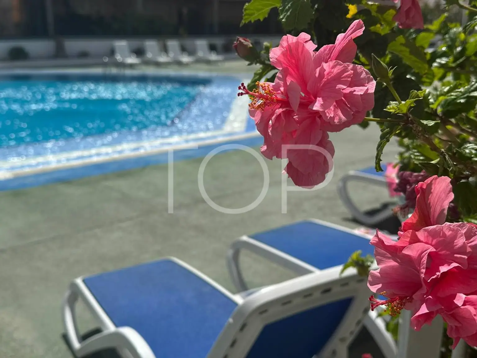 Apartamento renovado cerca del mar en el corazón de Los Cristianos