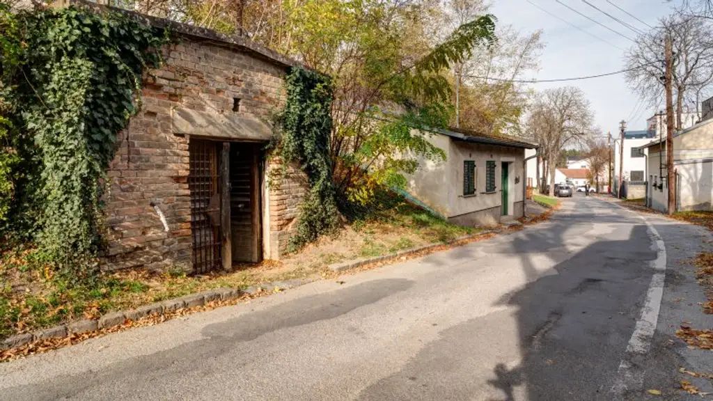 Keller im Stadtzentrum von Gänserndorf