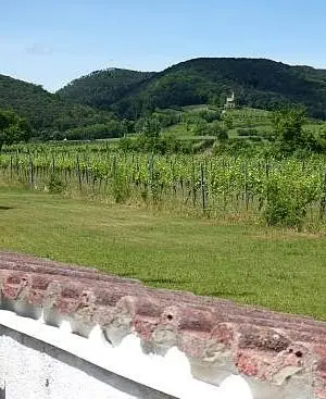 Ausblick