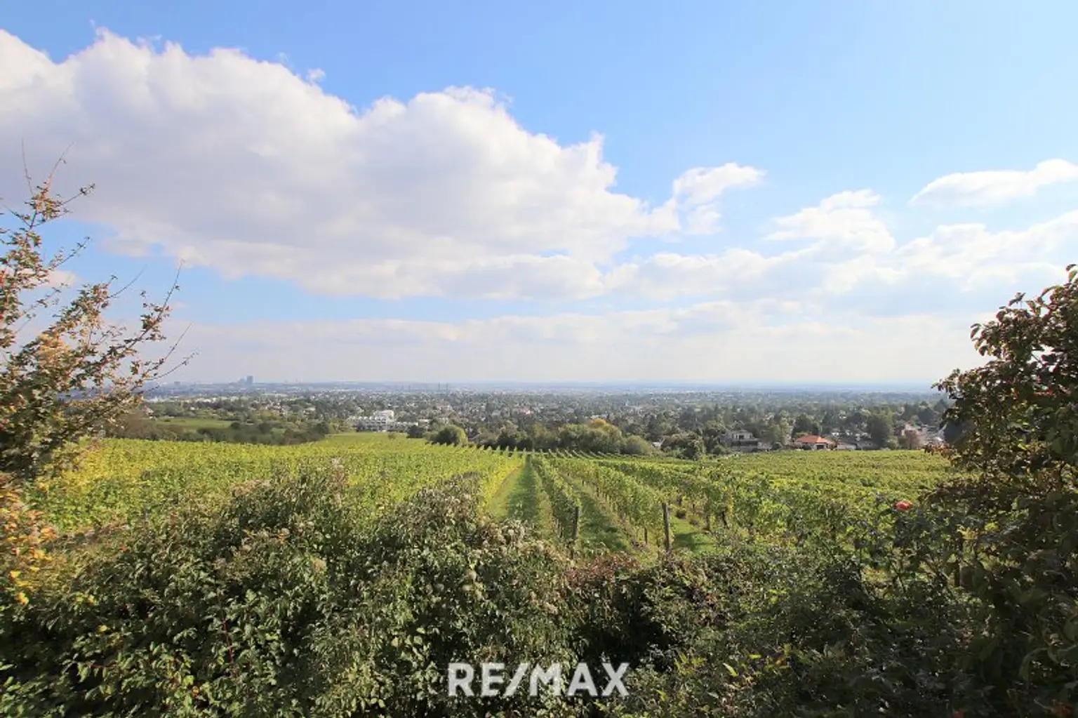 Eigengrund: Grünland mit Gartenhaus - Großes Grundstück in Mauer am Kadoltsberg - direkt am Lainzer Tiergarten
