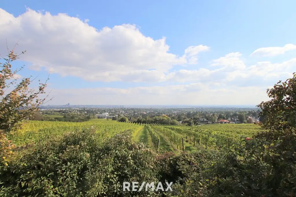Eigengrund: Grünland mit Gartenhaus - Großes Grundstück in Mauer am Kadoltsberg - direkt am Lainzer Tiergarten