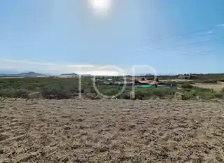 Land-Granadilla-xxx-Teneriffa-7