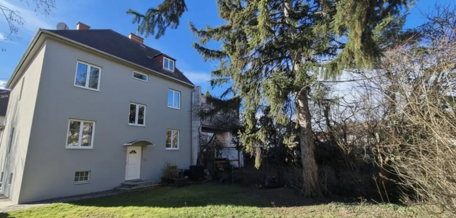 Gartenansicht (nach evtl Sanierung)