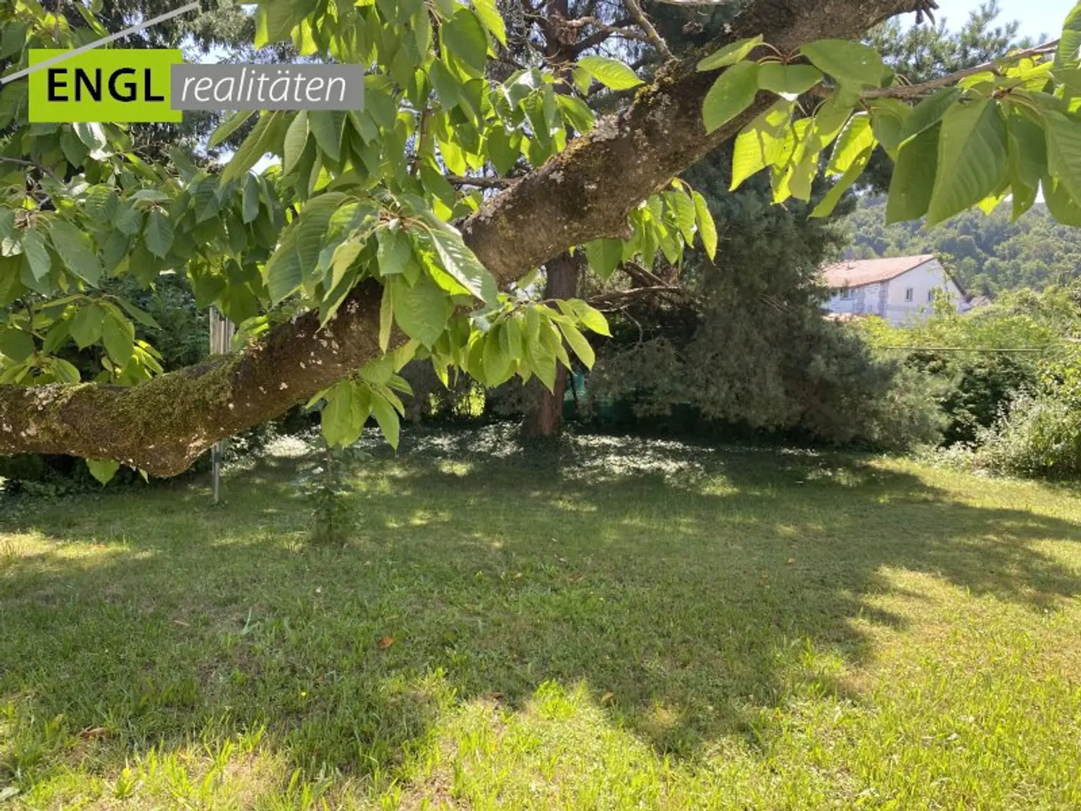 Neubau oder Sanierung, Grund mit südseitigem Garten in ruhiger Lage