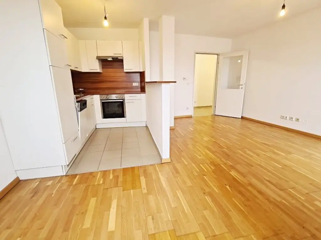 TERRASSENHIT, 61 m2 Dachgeschoß mit 48 m2 Terrasse, Wohnküche, 1 Zimmer, Wannenbad, Parketten, Fernblick, Holbeingasse