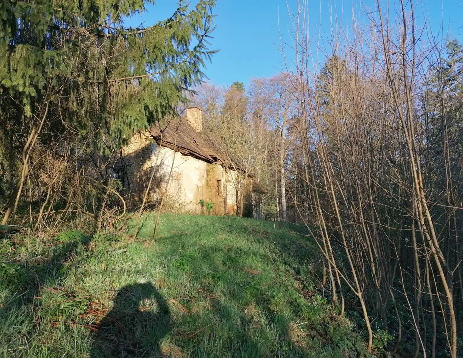 Liegenschaft mit Hofstelle - St. Nikolai im Sausal
