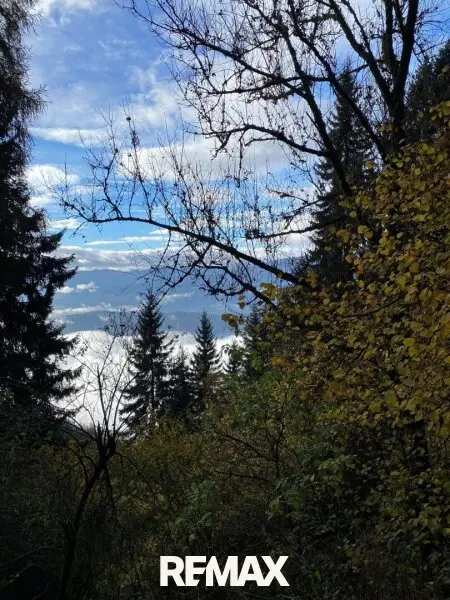 Blick ins Tal