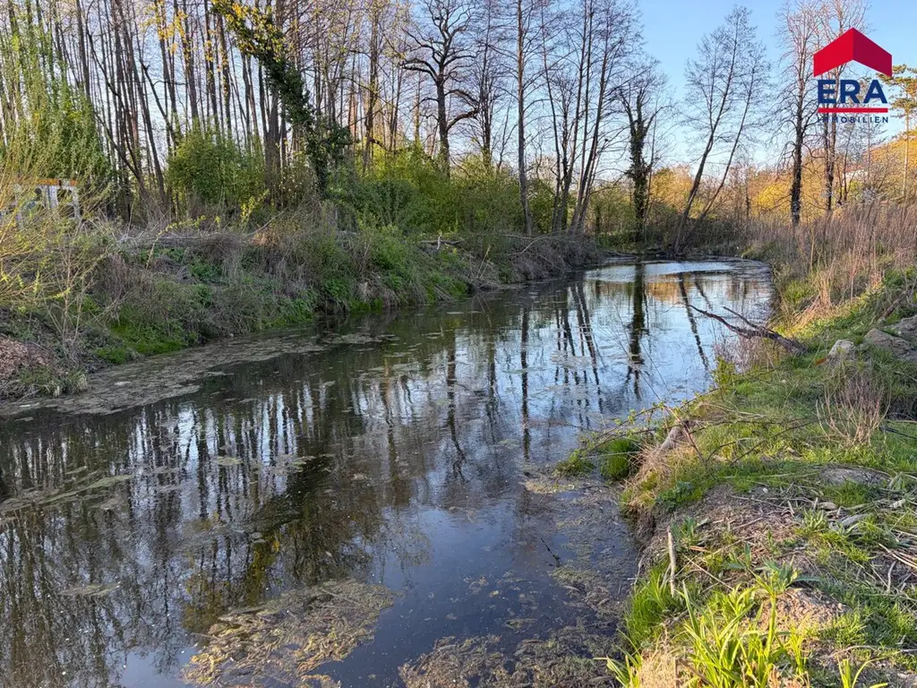 Exklusives Freizeitgrundstück in absoluter Grünruhelage – Natur, Weite & vielfältiges Potenzial in Gaweinstal