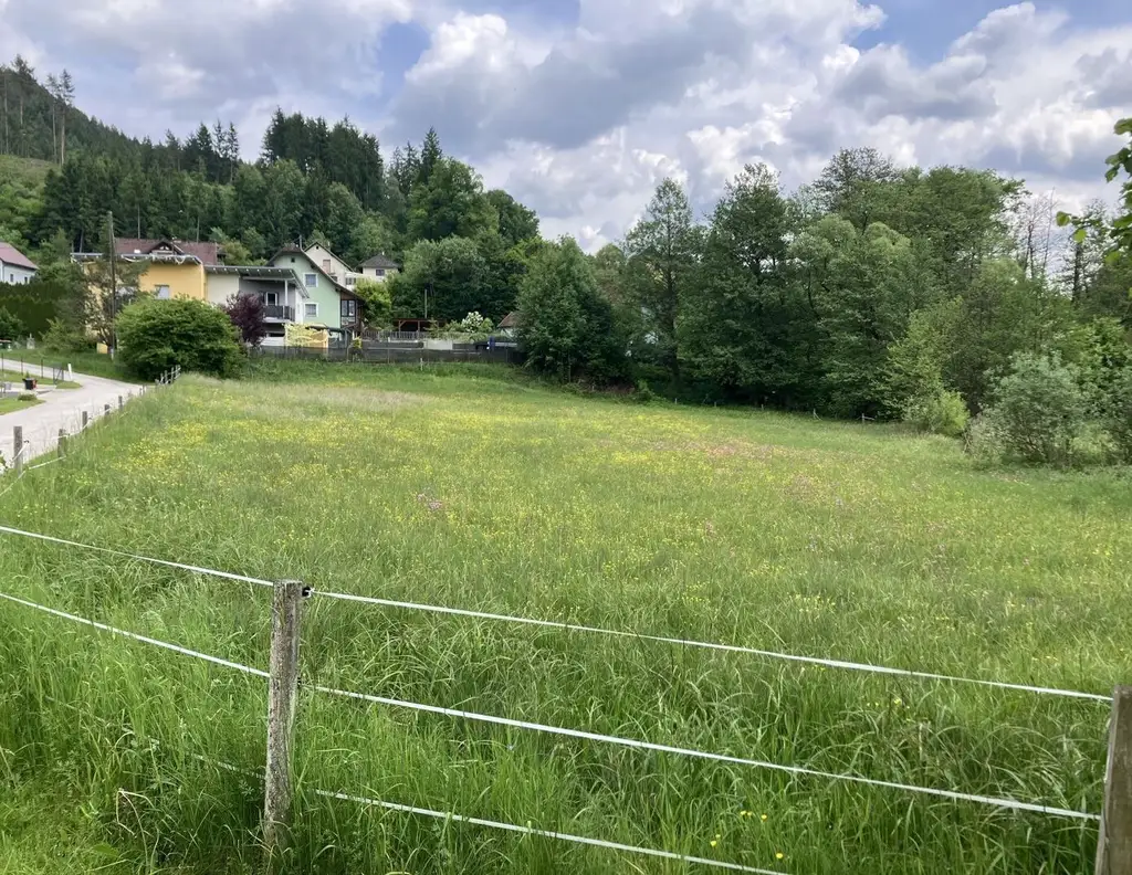 BAULAND DORFGEBIET! TRAUMHAFTES BAUGRUNDSTÜCK IN ST. GEORGEN AM LÄNGSEE