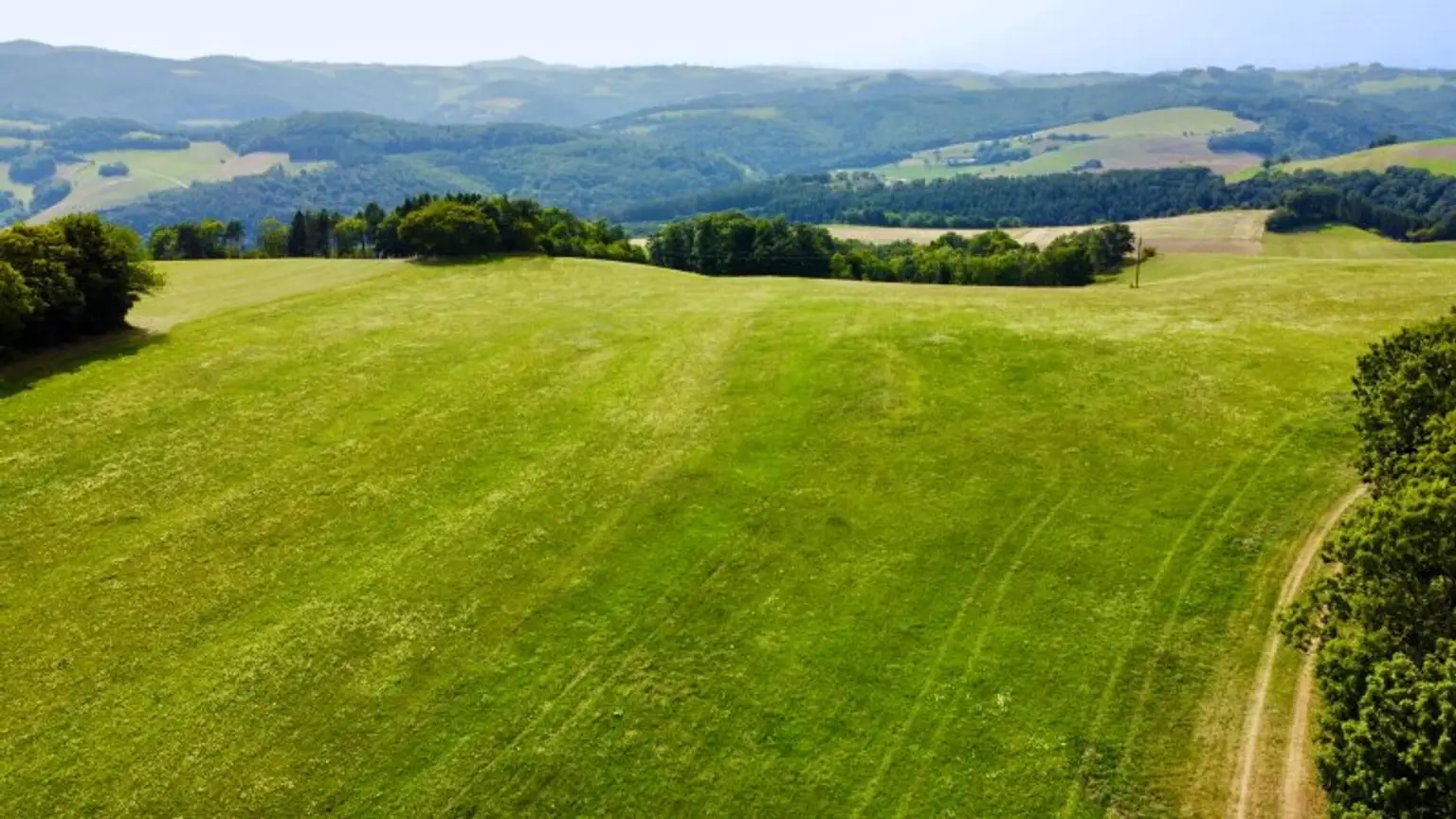 Grundstück mit Baumbestand für landwirtschaftliche Zwecke | 60.053 m² | Schwarzenbach in der Buckligen Welt