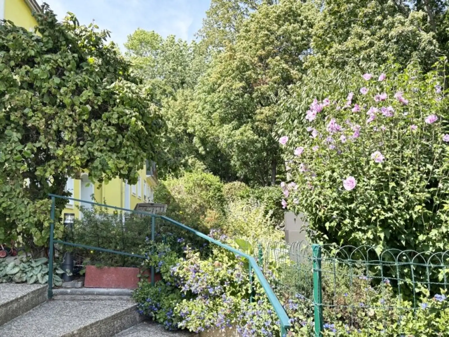 Ruhe-Oase in Mauer! Sonniges Reihenhaus mit 6 Zimmern, Garten und Garage!