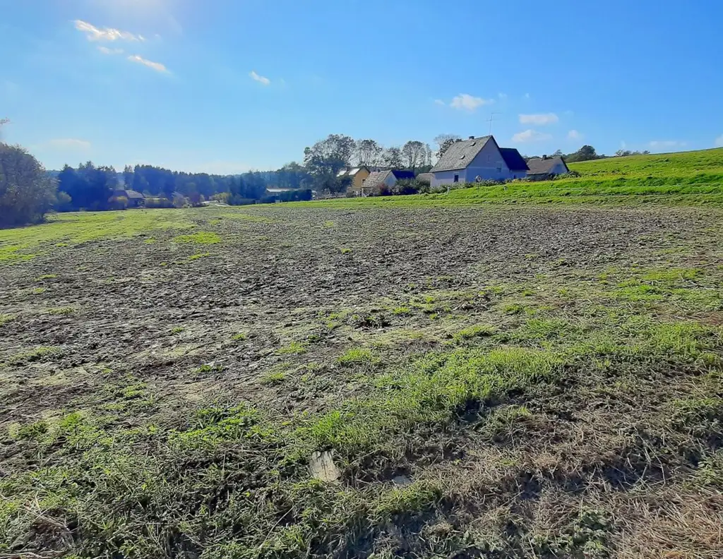 Schönes, sonniges Bauträger-Grundstück in Allerheiligen bei Wildon.