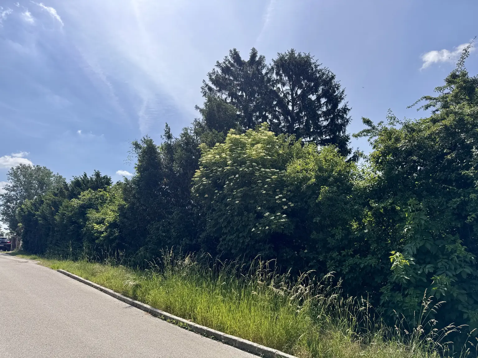 Straßenansicht Baugründe