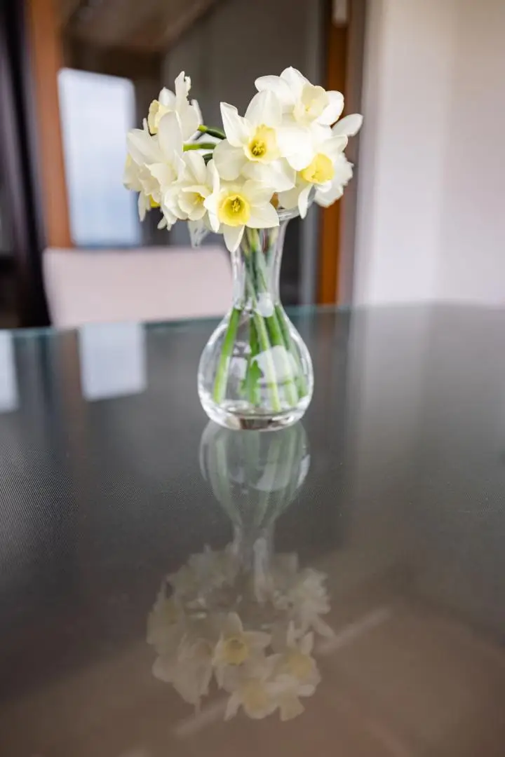 Deco (2)