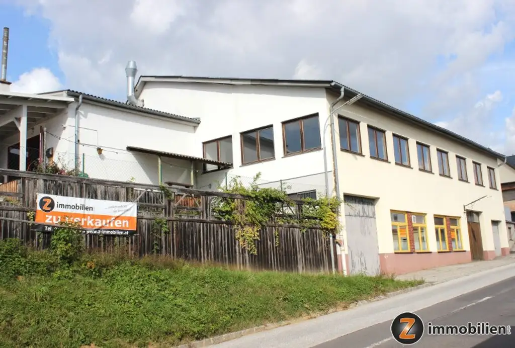 Nähe Oberwart: Große Halle/Gewerbeobjekt mit viel Nutzfläche!