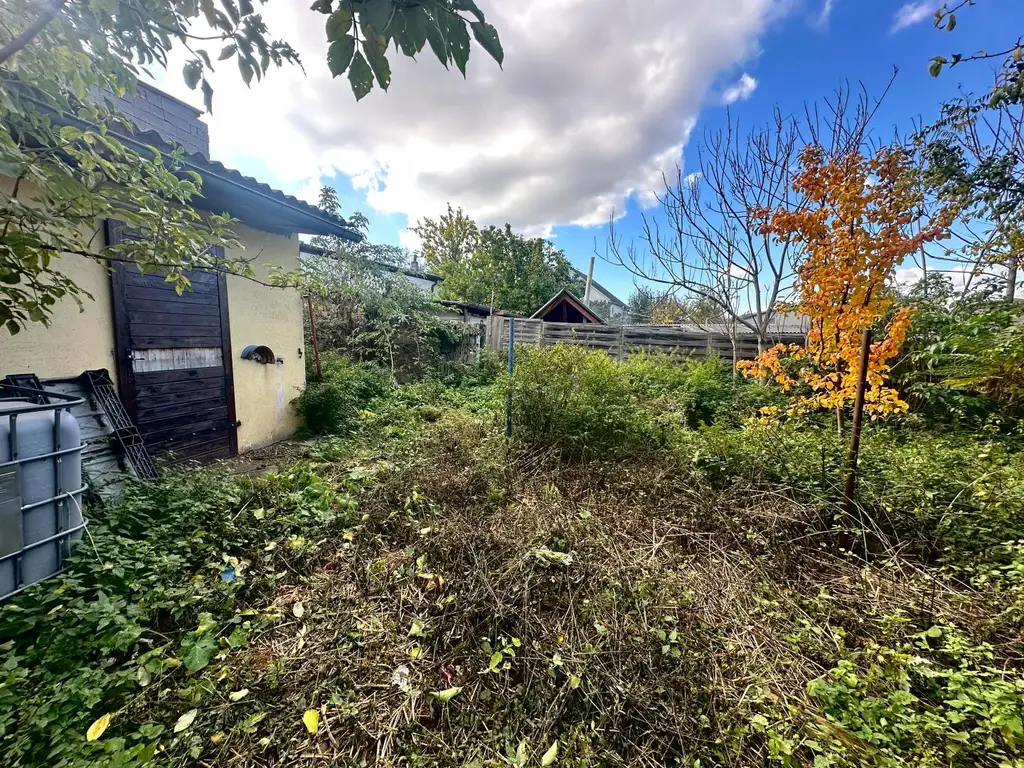 Reiterparadies im Weinviertel – Ihr Traum vom Landleben!