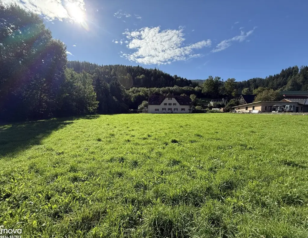 Baugrundstück im Grenzkataster - 3.830 m² in sonniger Lage - Niklasdorf / Waltenbach!!