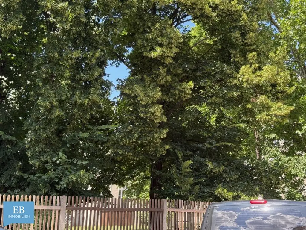 Sanieren, gestalten, genießen - Wohnen im Neubau