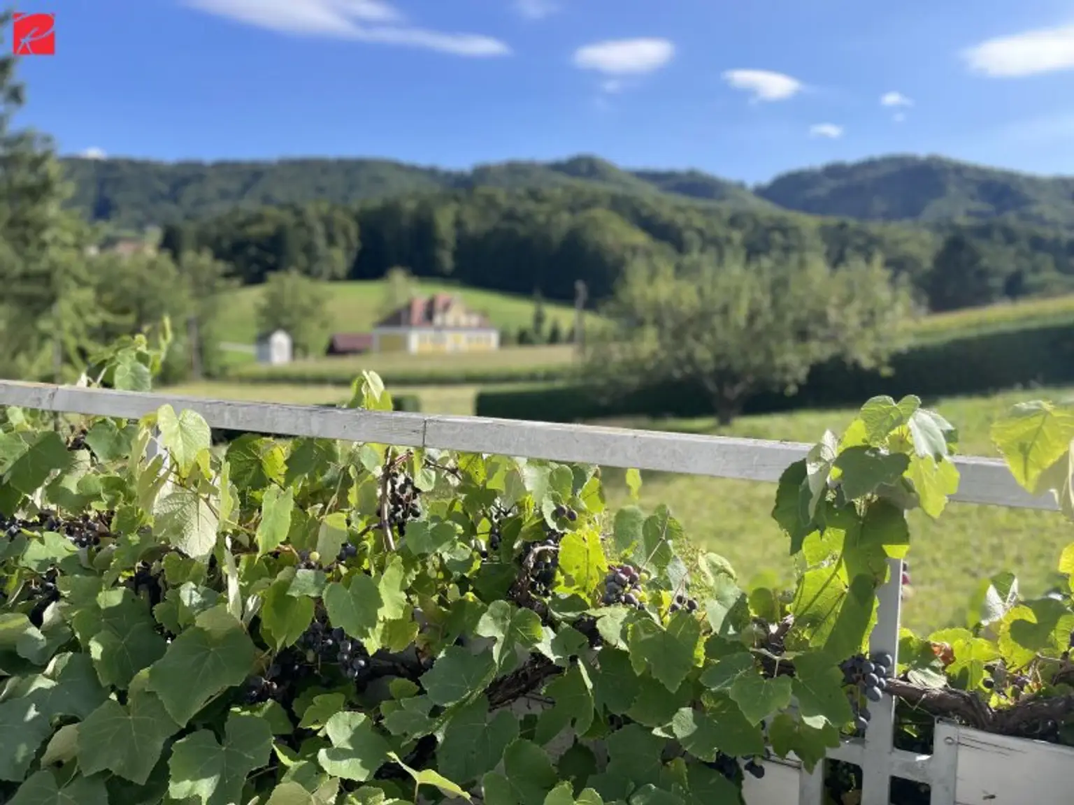 NUR 20 Minuten nach Leibnitz!