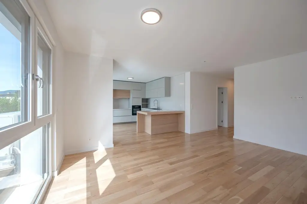 "Erstbezug mit hochwertiger Küche und großem Balkon bei Baden"