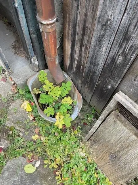 "Lage, Potenzial, neues Familienglück!" Eigengrund mit Altbestand!"