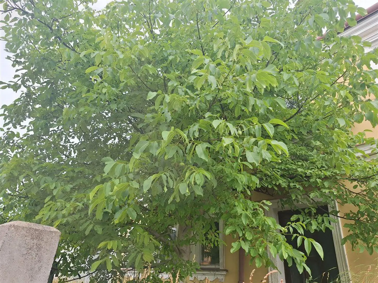Charmante, großzügige Altbau-Villa mit Nebengebäuden auf großem Baugrundstück zu verkaufen